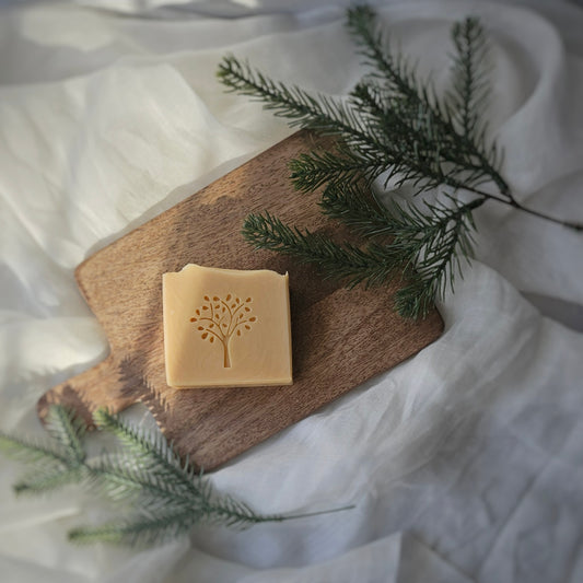 Spiced Cider Soap